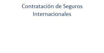 Contratación de Seguros Internacionales
